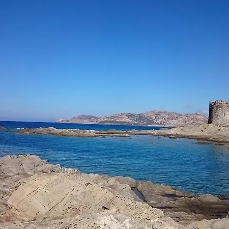 Paola Sardegna * Viddalba