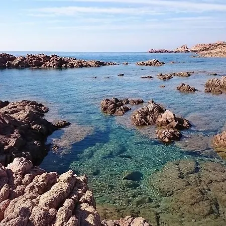 Paola Sardegna * Viddalba