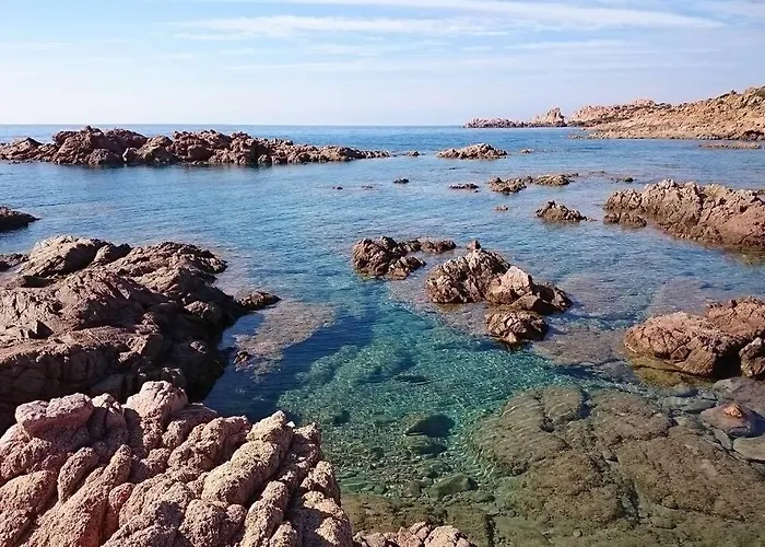 Paola Sardegna * Viddalba